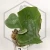 20260219_121844.webp