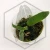 20260219_121931.webp