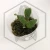 20260219_121938.webp
