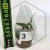 20260219_121942.webp