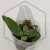 20260219_122009.webp