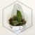 20260219_122019.webp