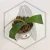20260219_122157.webp