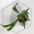 20260219_122323.webp