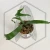 20260219_122351.webp