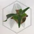 20260219_122413.webp