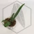 20260219_122430.webp