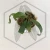 20260219_122434.webp