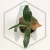20260219_122510.webp