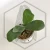 20260219_122630.webp