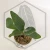20260219_122634.webp