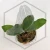20260219_122654.webp