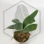 20260219_122719.webp