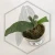 20260219_122739.webp