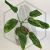 20260219_122938.webp