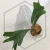 20260219_124224.webp