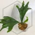 20260219_124237.webp
