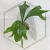 20260219_124321.webp