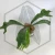 20260219_124358.webp