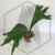 20260219_124431.webp