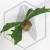 20260219_124445.webp