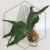 20260219_125530.webp