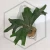 20260219_125754.webp