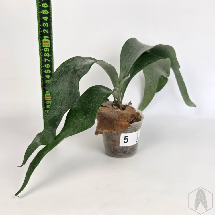 20260219_125809.webp