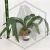 20260219_130051.webp