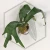 20260219_130053.webp