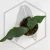 20260219_130141.webp