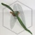 20260219_130448.webp