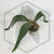 20260219_130541.webp