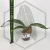 20260219_130550.webp