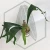 20260219_131057.webp
