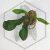 20260219_145905.webp