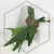 20260219_150232.webp