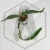 20260219_150433.webp
