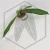 20260219_150616.webp