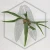 20260219_150656.webp