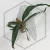 20260219_153056.webp