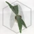 20260219_153331.webp