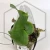 20260220_124233.webp