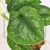 20260220_133924.webp