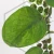 20260220_134238.webp