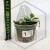 20260220_134649.webp