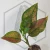 20260221_162043.webp