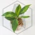 20260221_162630.webp