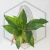 20260221_162645.webp