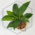 20260221_162729.webp